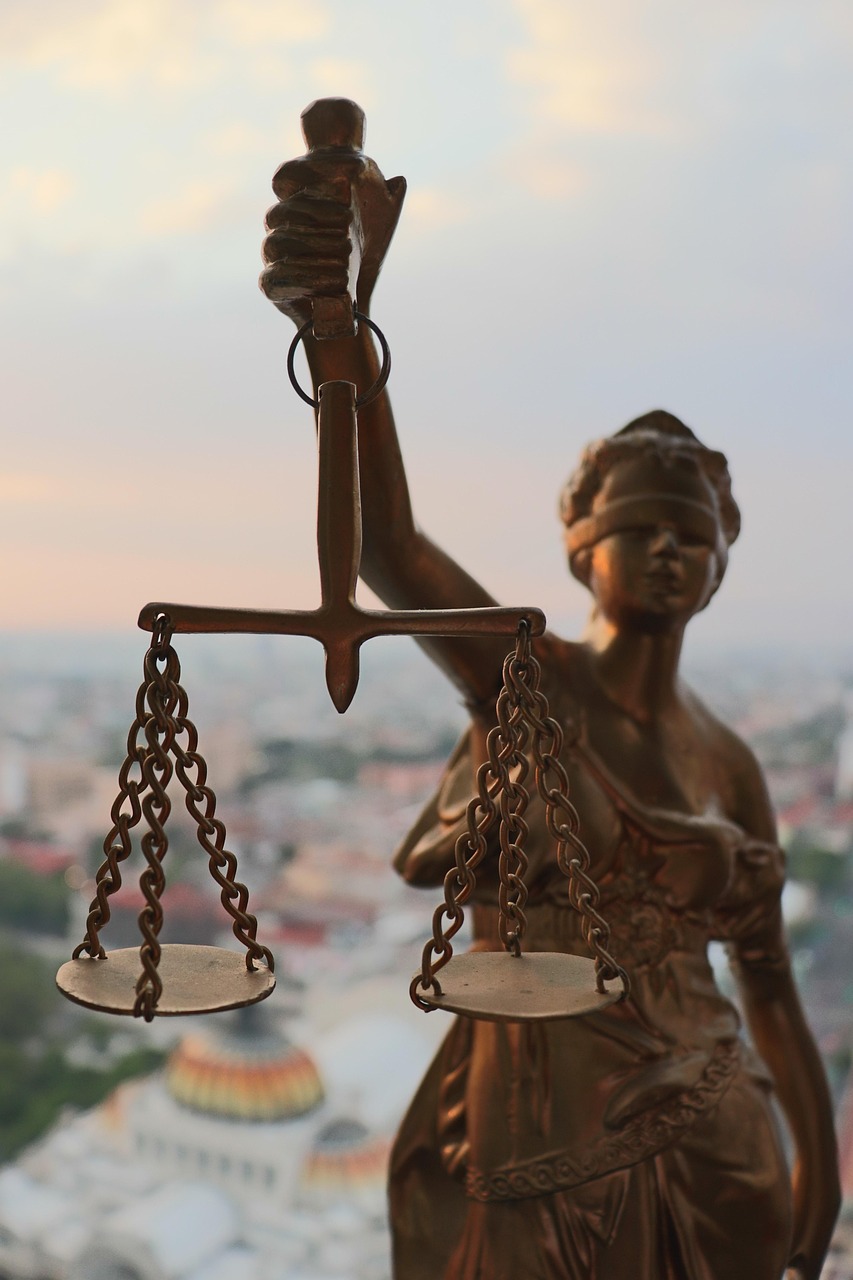 ezequiel_octaviano-legal-5211994_1280